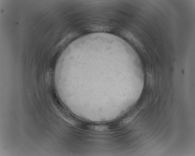 X0000067520165200604281643