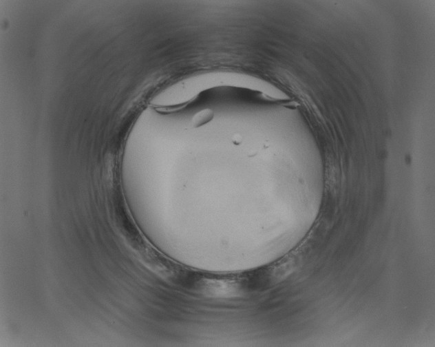 X0000067520167200604281643