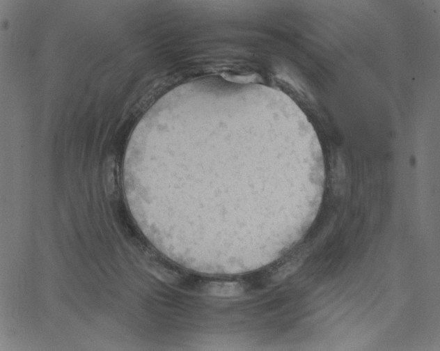 X0000067520169200604281643