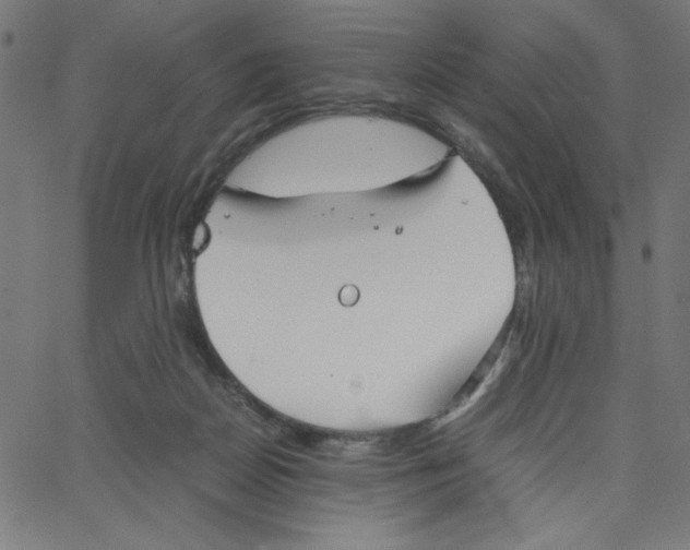 X0000067520170200604281643