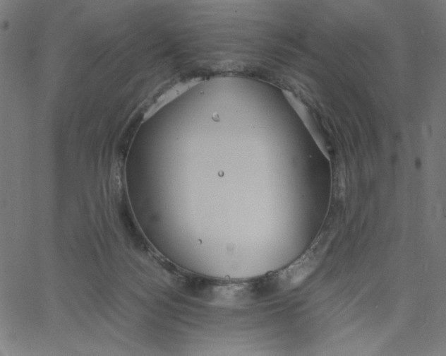 X0000067520172200604281643