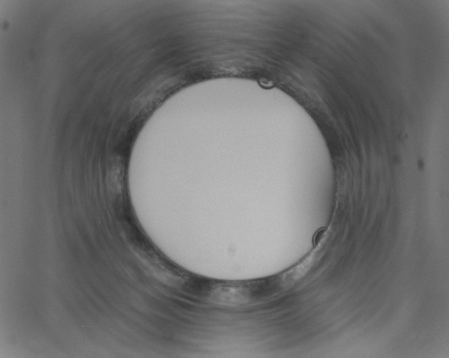 X0000067520174200604281643