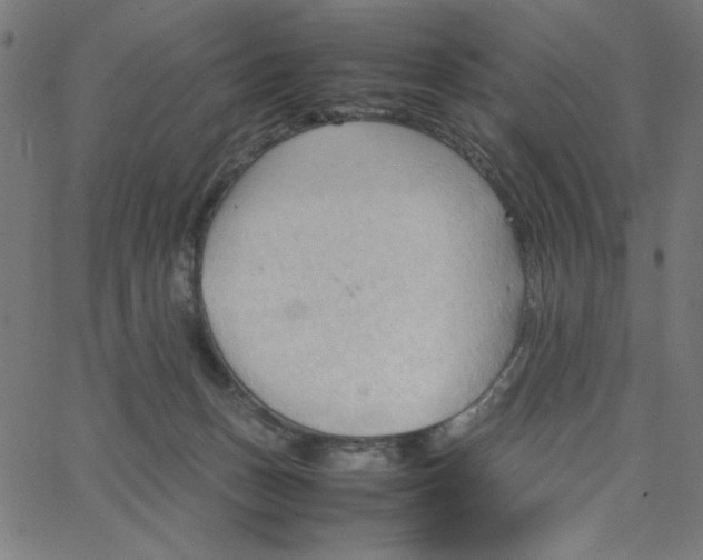 X0000067520175200604281643