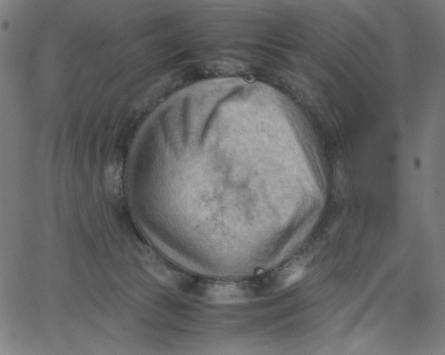 X0000067520177200604281643