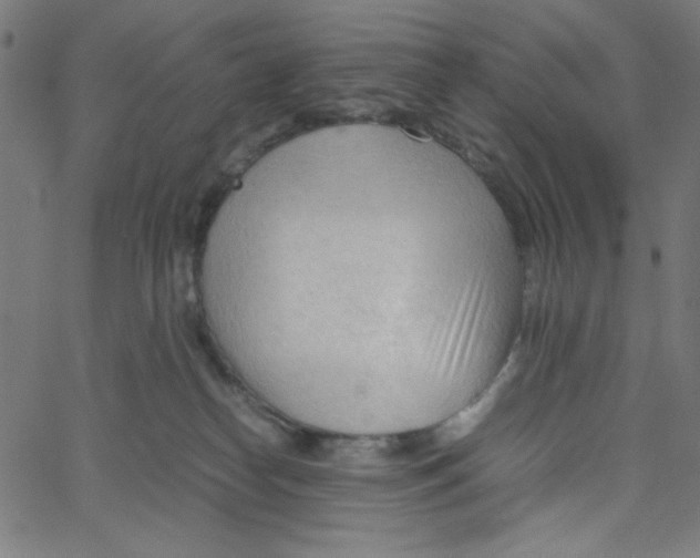 X0000067520182200604281643