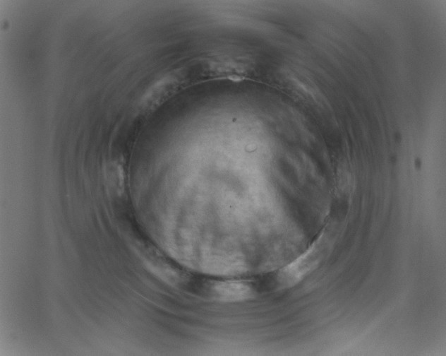 X0000067520183200604281643