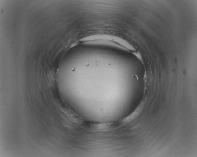 X0000067520184200604281643