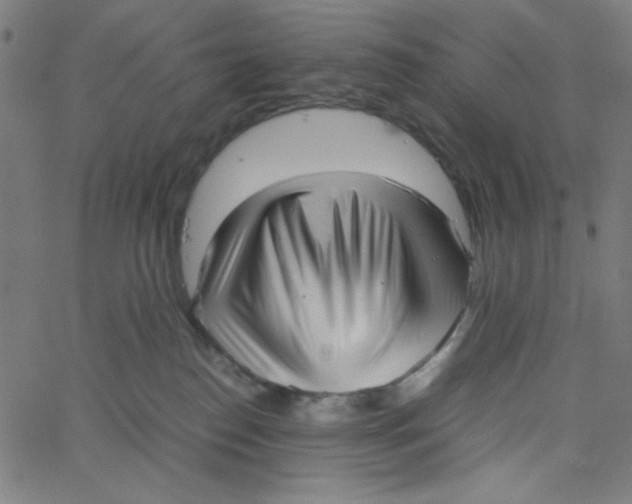 X0000067520186200604281643