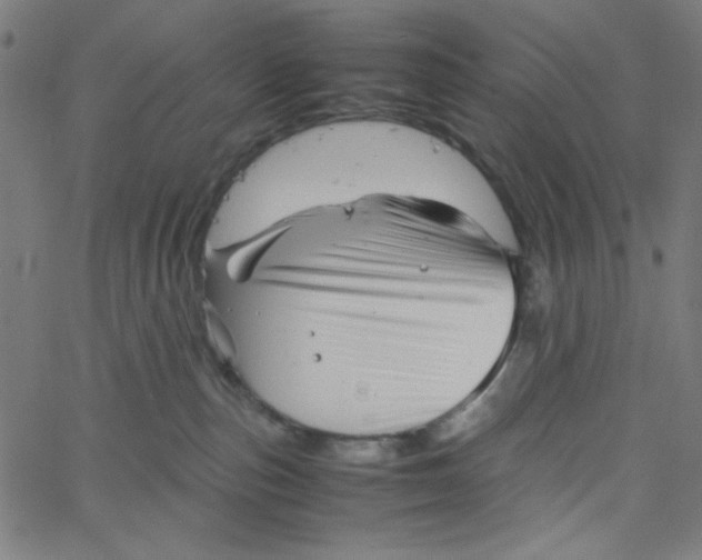 X0000067520187200604281643