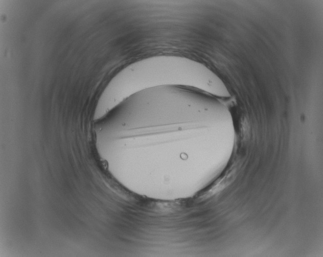 X0000067520188200604281643