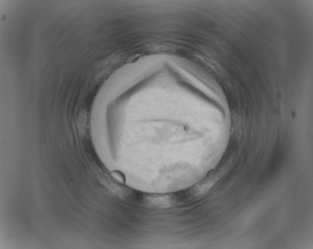 X0000067520189200604281643