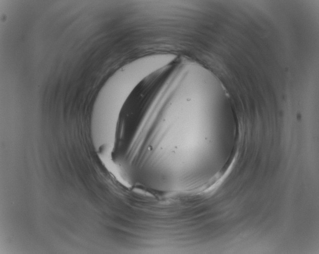 X0000067520190200604281643