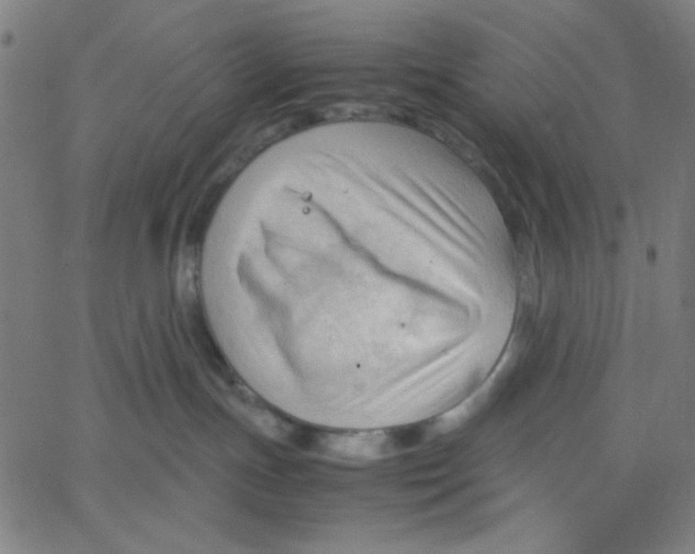 X0000067520191200604281643