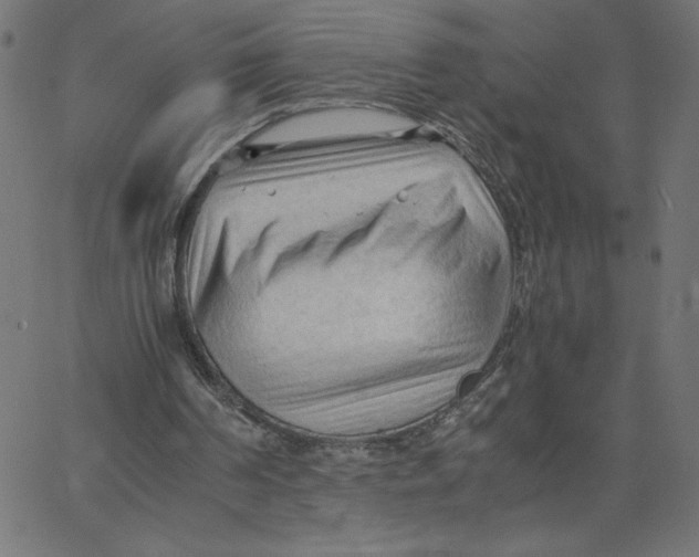 X0000067520194200604281643