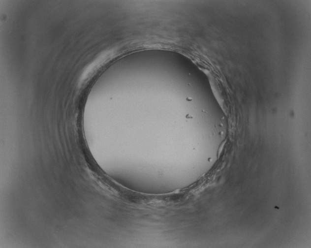 X0000067520197200604281642