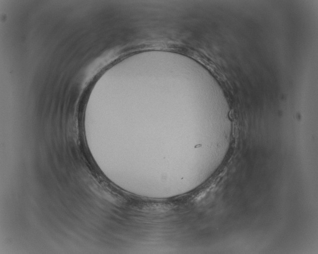 X0000067520198200604281642