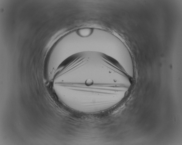 X0000067520199200604281642