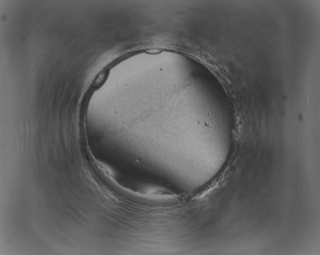 X0000067520200200604281642