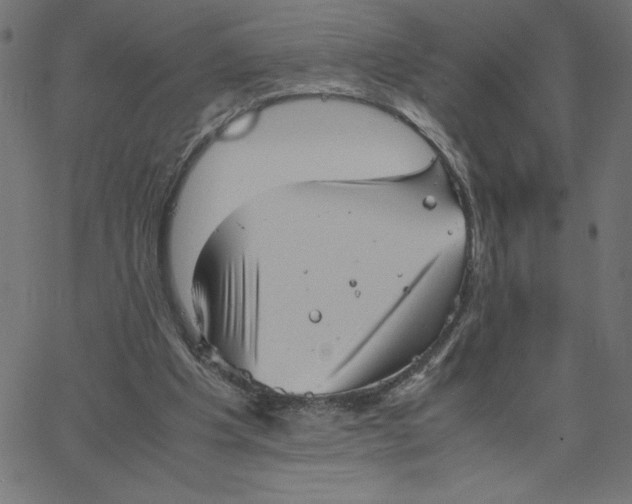 X0000067520201200604281642