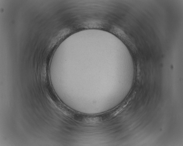 X0000067520202200604281642