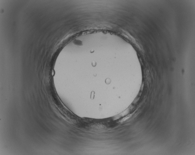 X0000067520203200604281642