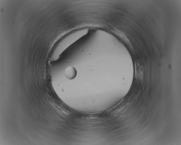 X0000067520204200604281642