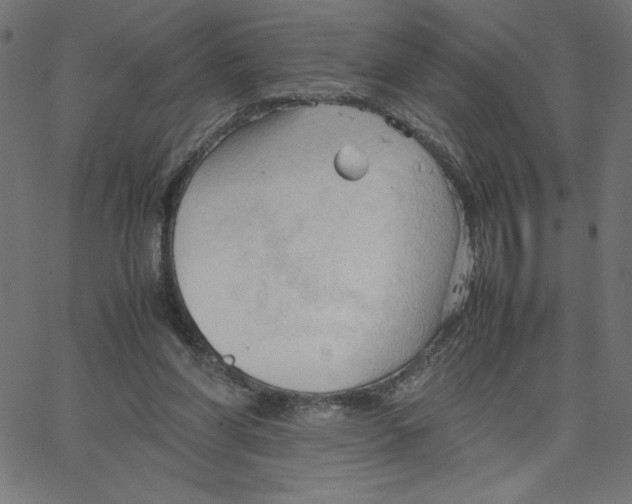 X0000067520206200604281642