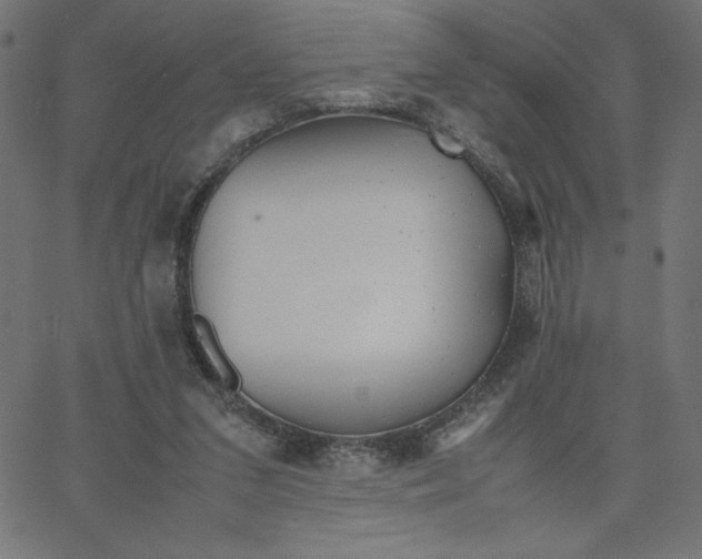 X0000067520207200604281642