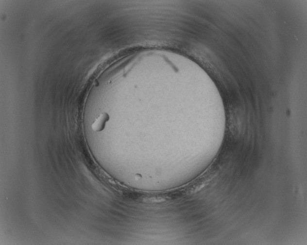 X0000067520208200604281642