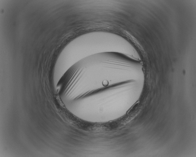 X0000067520209200604281642