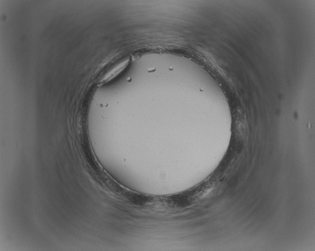 X0000067520211200604281642