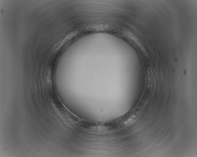 X0000067520212200604281642