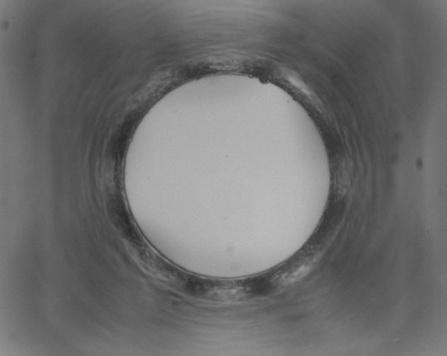 X0000067520213200604281642