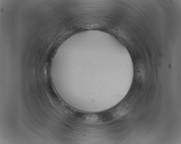 X0000067520214200604281642