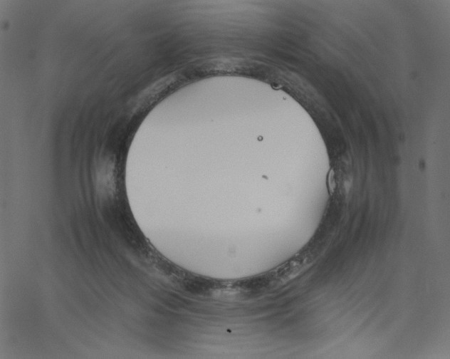 X0000067520216200604281642