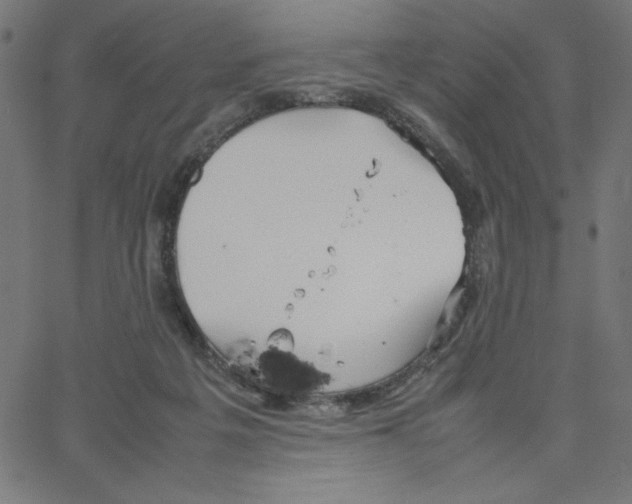 X0000067520217200604281642