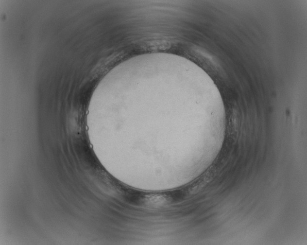 X0000067520218200604281642