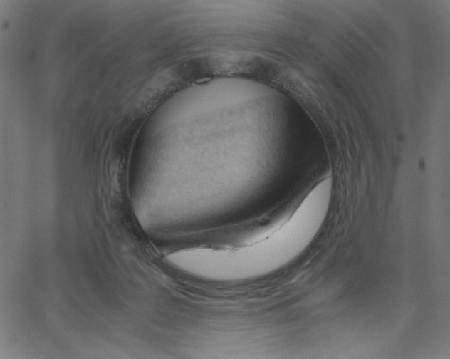 X0000067520219200604281642