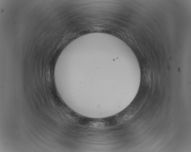 X0000067520220200604281642