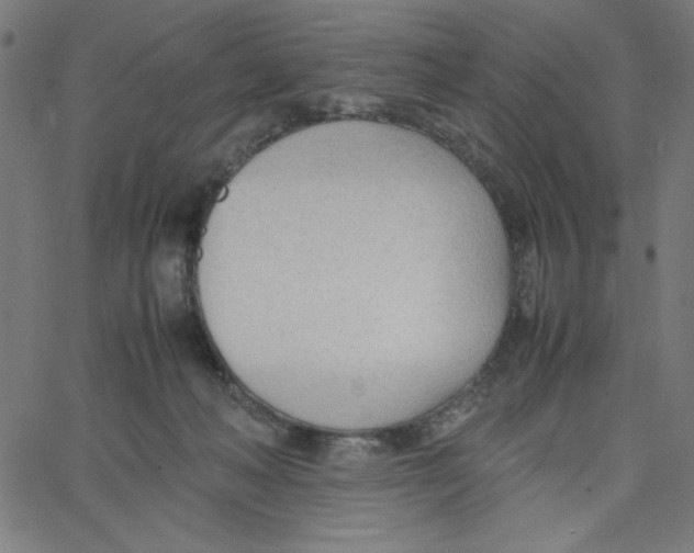 X0000067520222200604281642