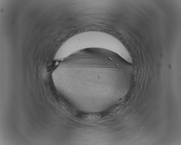 X0000067520223200604281642