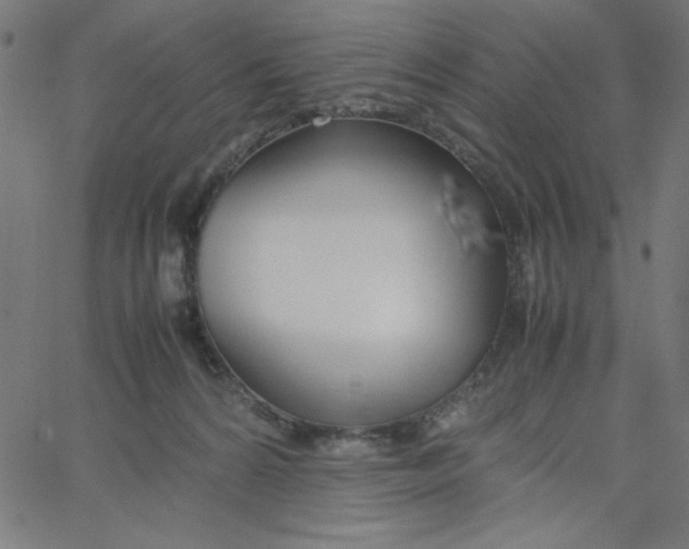 X0000067520224200604281642