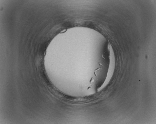 X0000067520225200604281642