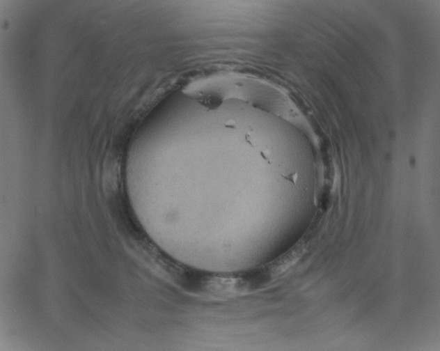 X0000067520227200604281642