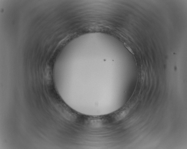 X0000067520228200604281642