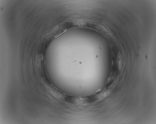 X0000067520229200604281642