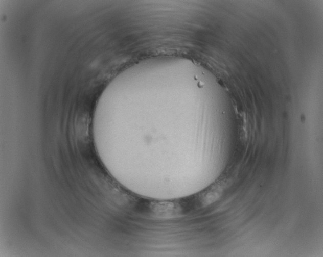 X0000067520230200604281642