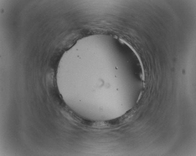 X0000067520231200604281642