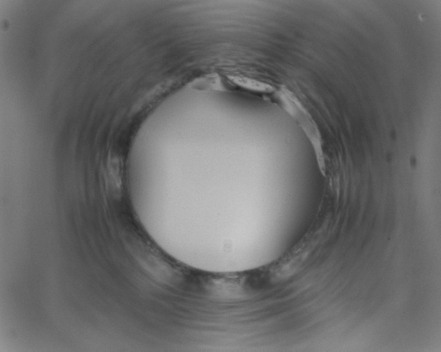 X0000067520232200604281642