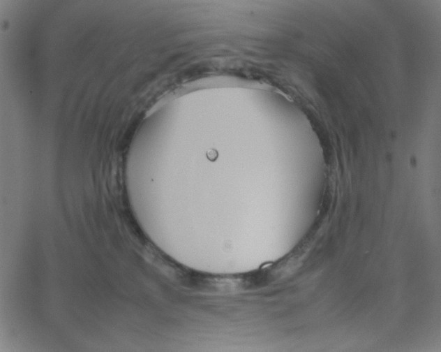 X0000067520233200604281642